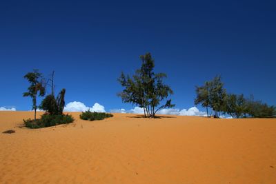 Scenic view of beach against blue sky