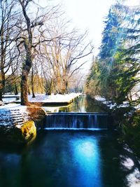 River amidst bare trees against sky