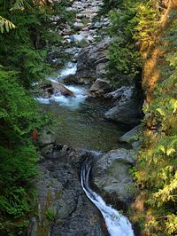 Stream flowing through rocks in forest
