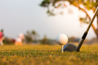 Close-up of golf ball on grass