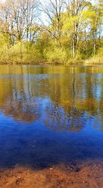 Reflection of trees in lake