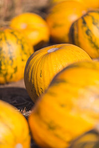 Close-up of pumpkin for sale at market