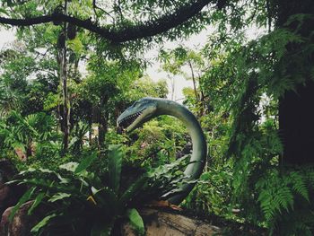 Horse by trees against plants