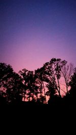 Silhouette of trees against sky at sunset