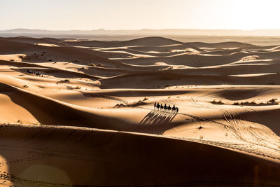 People riding camels on desert against sky