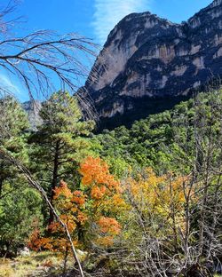 Scenic view of mountain against sky