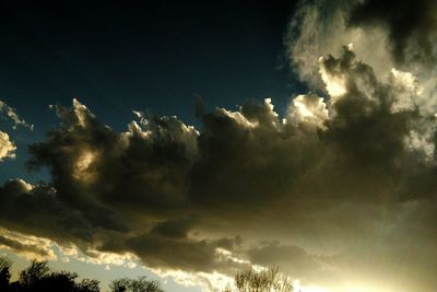 Low angle view of trees against sky at night