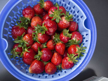 Directly above shot of strawberries in bowl