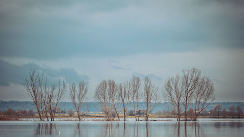 Scenic view of lake against sky during winter