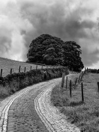 Road by trees against sky