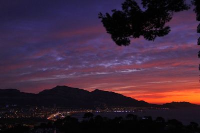 Silhouette trees by illuminated city against sky at sunset