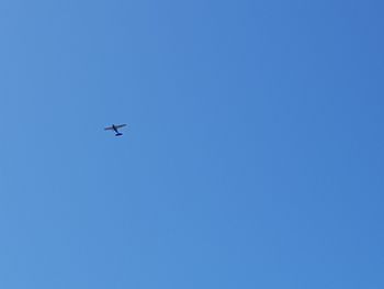 Low angle view of airplane flying in sky