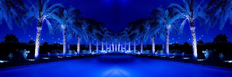 Illuminated christmas lights and trees against blue sky at night