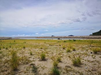 Scenic view of field against sky