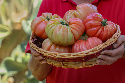 Close-up of hand holding red basket