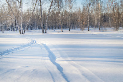 Bare trees on snow covered field