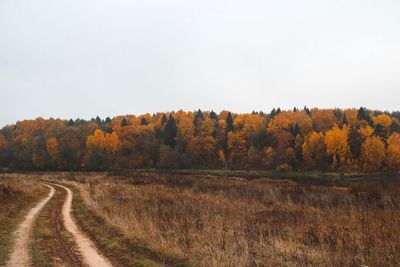 Scenic view of landscape against sky during autumn