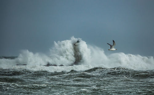 The lighthouse of the mangiabarche shrouded by the waves of a mistral wind storm
