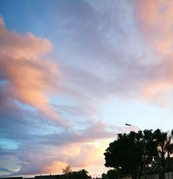 Low angle view of silhouette trees against sky