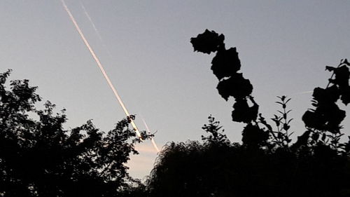 Low angle view of silhouette trees against sky