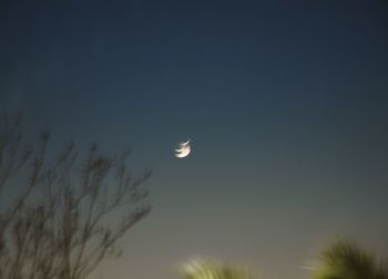 Low angle view of moon in sky