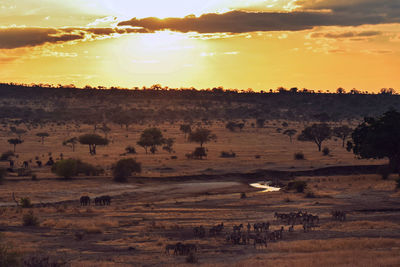 Scenic view of landscape against sky during sunset over the tarangire national park, tanzania 