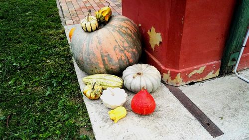 High angle view of pumpkins