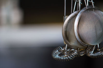 Close-up of shell on metal