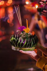 Close-up of hand holding purple flower