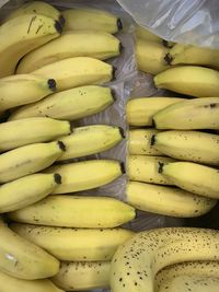 Full frame shot of fruits