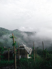 fog