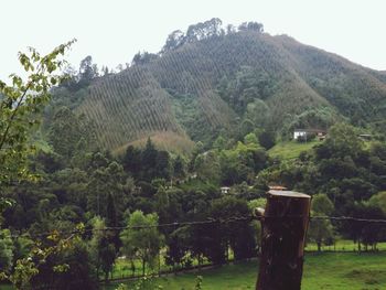 Scenic view of mountains