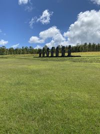 Scenic view of field against sky