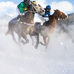 People riding horses on snow covered land