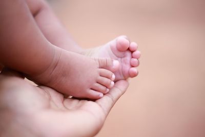 Cropped hand of mother holding baby legs