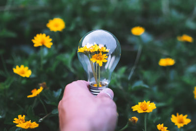 Cropped hand holding light bulb amidst flowering plants