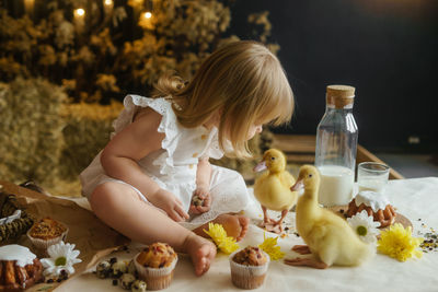 A little girl is sitting on the easter table and playing with cute fluffy ducklings.  happy easter.