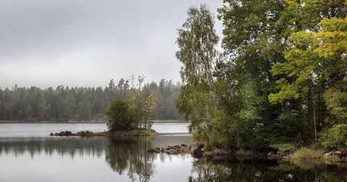 Scenic view of lake in forest against sky