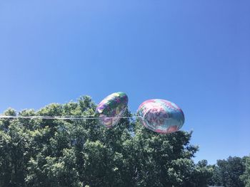 Low angle view of multi colored trees against clear blue sky