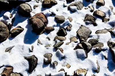 High angle view of stones on snow covered land