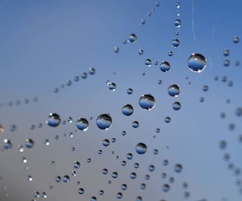 Close-up of water drops on spiderweb 