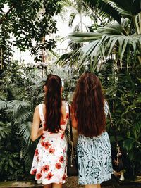 Rear view of friends standing against plants in park