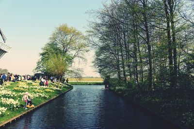 Reflection of trees in river