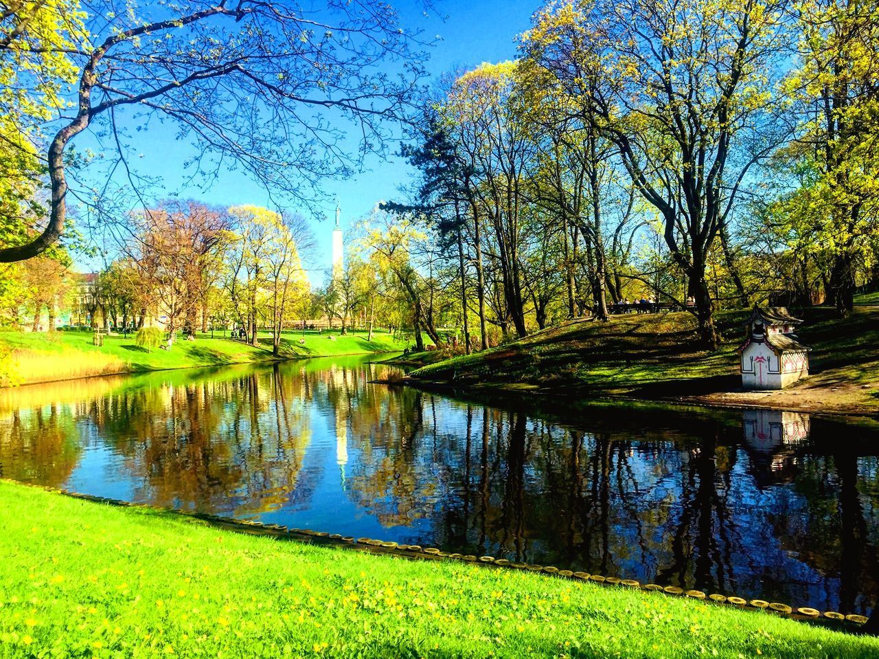 SCENIC VIEW OF PARK BY LAKE