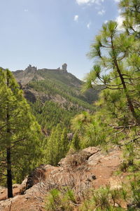 Scenic view of land against sky