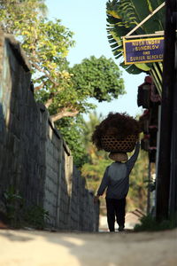 Rear view of man carrying basket on head while walking on footpath