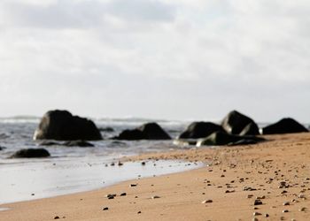 Close-up of beach against sky