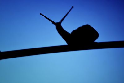 Low angle view of silhouette against blue sky