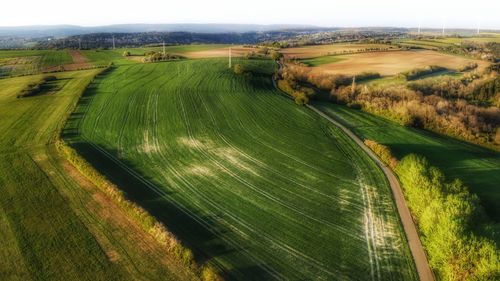 Scenic view of farm