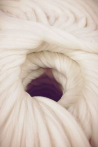 Full frame shot of flower
